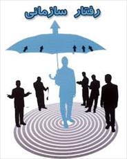 خلاصه کتاب رفتار سازمانی رابینز